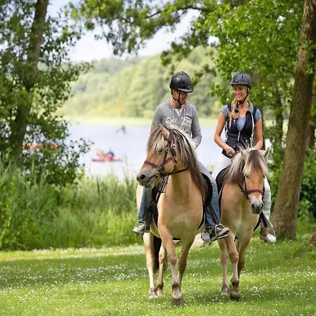 Im Skandinavischen Stil *